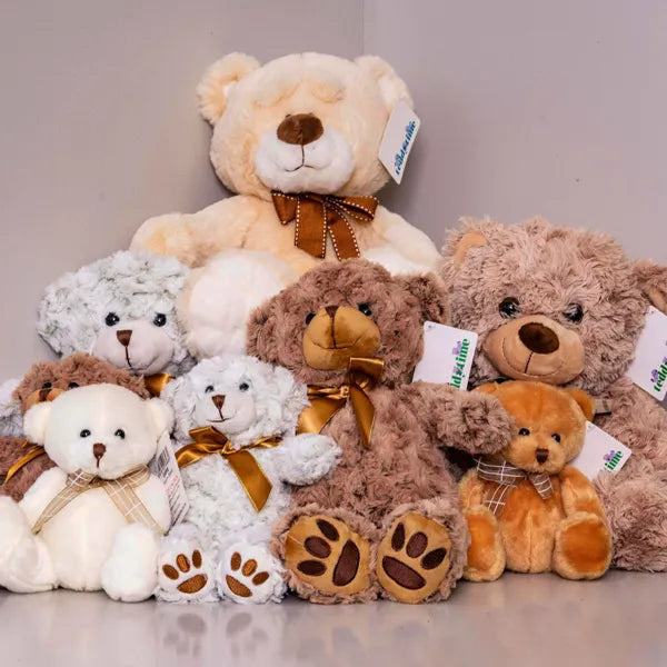 Soft teddies on sale