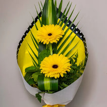 Double Trouble Yellow Bunches Bows Florist Shop 9 Albion Place Dunedin 9016 New Zealand