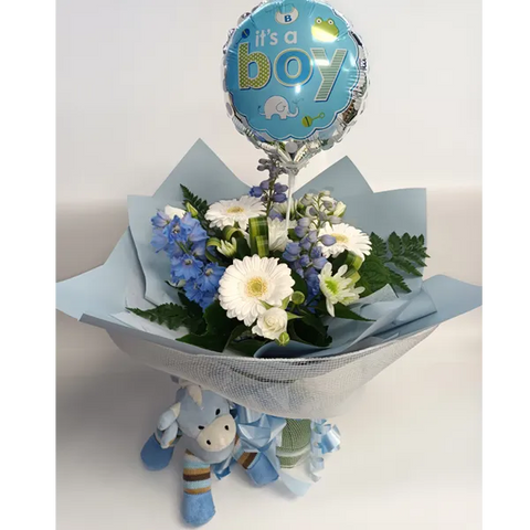 New Born Baby Boy Package Bunches & Bows Florist Shop 9 Albion Place Dunedin 9016 New Zealand