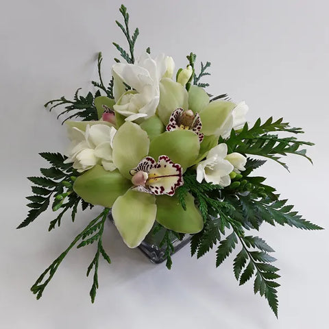 White Delight Bunches Bows Florist Shop 9 Albion Place Dunedin 9016 New Zealand