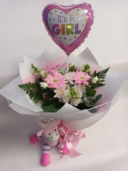 New Born Baby Girl Package